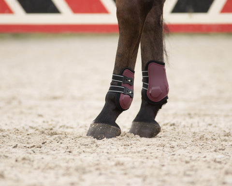 QHP Champion Fetlock Boots - EveryDay Equestrian