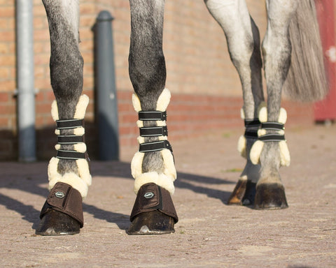 QHP Ontario Fetlock Boots - EveryDay Equestrian