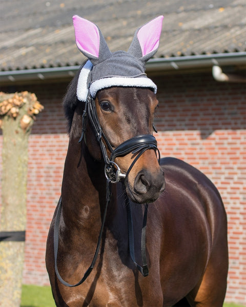 QHP Easter Ear Bonnet - EveryDay Equestrian