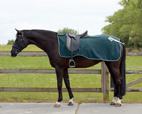QHP Ornament Exercise Fleece Rug - EveryDay Equestrian