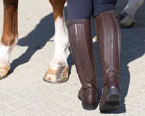 QHP Tamar Riding Boots - EveryDay Equestrian