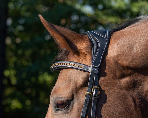QHP Devi Bridle - EveryDay Equestrian