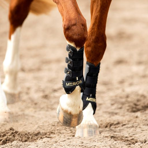 Horse exercise cheap boots australia