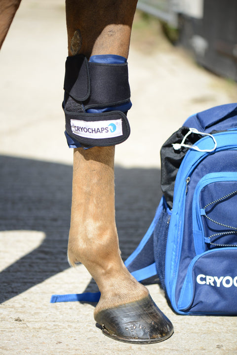 Cryochaps Cooler Bag - Everyday Equestrian