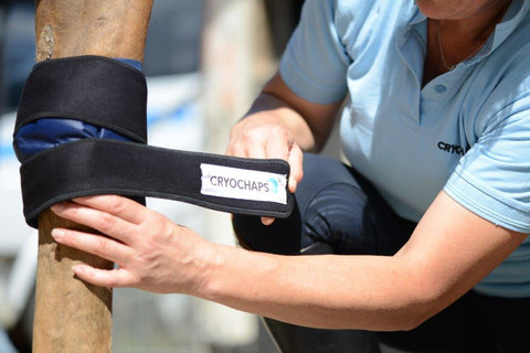 Cryochaps - Equine Ice Wraps - Everyday Equestrian