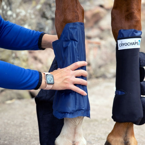 Cryochaps Ice Wrap Boots - EveryDay Equestrian