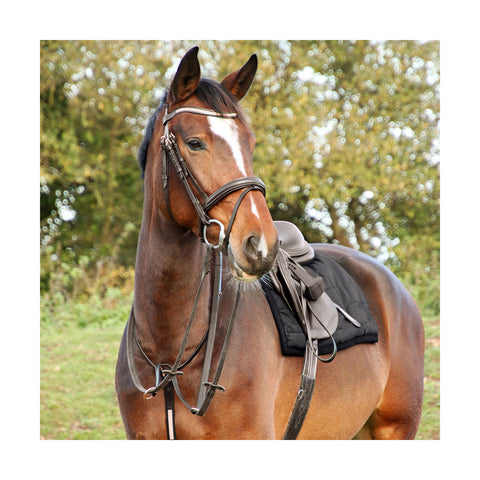 Hy-Equestrian-Rosciano-Rose-Gold-Leather Bridle - Everyday Equestrian