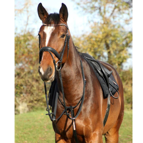 Hy-Equestrian-Rosciano-Rose-Gold-Leather Bridle - Everyday Equestrian