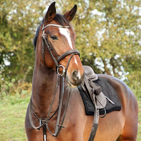 Hy-Equestrian-Rosciano-Rose-Gold-Leather Bridle - Everyday Equestrian