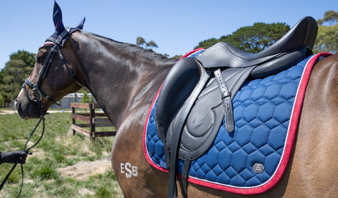 QHP Eldorado Dressage Saddle Pad - EveryDay Equestrian