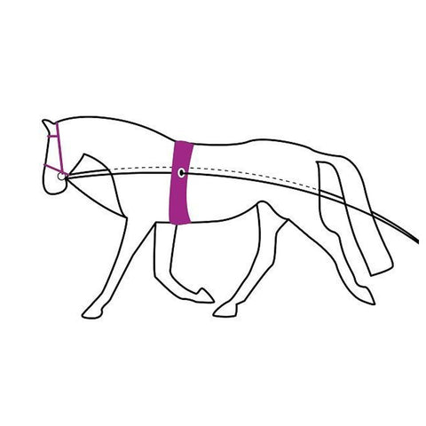 QHP Double Lunging Rein - EveryDay Equestrian