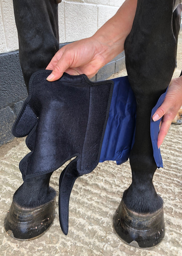 Cryochaps Ice Wrap Boots – EveryDay Equestrian