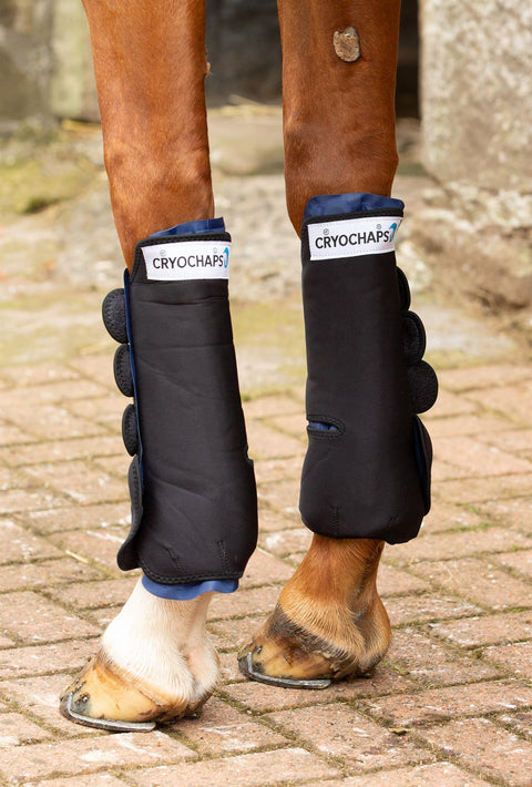 Cryochaps Ice Wrap Boots - EveryDay Equestrian