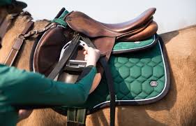 QHP Eldorado All Purpose Saddle Pad - EveryDay Equestrian