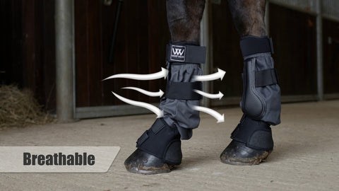 Woof Wear Mud Fever Boots - EveryDay Equestrian